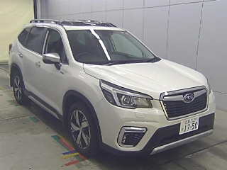 Stock_Cars